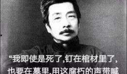 鲁迅最新爆料新闻视频下载,揭秘历史真相，引发社会热议