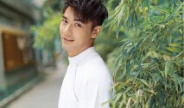 娱乐圈吃瓜基本是真的,真相与谣言的交织